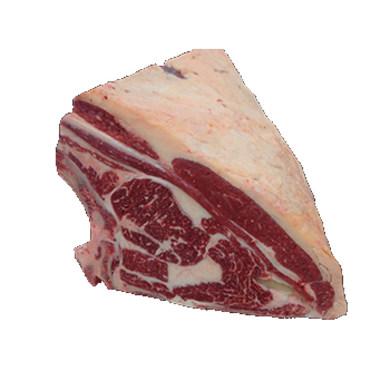 COSTATA 5 COSTE S.V. D4IT